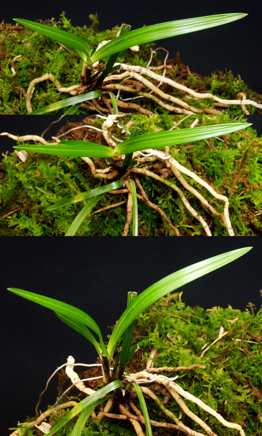 ������ ū������ �� �� �ֽ��ϴ�.