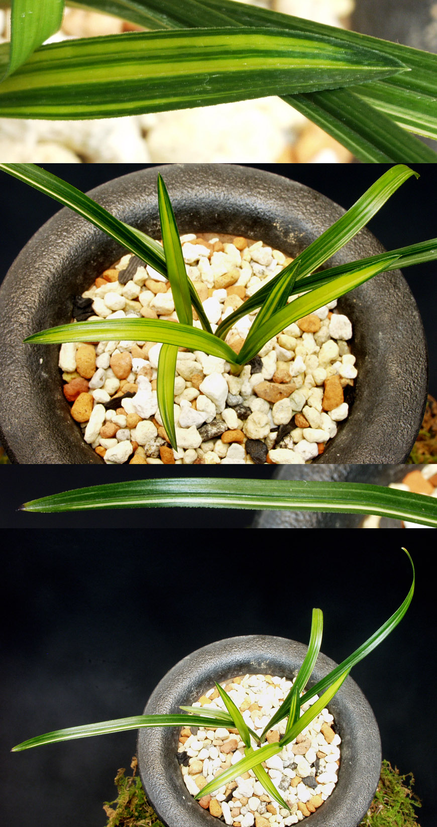 ������ ū������ �� �� �ֽ��ϴ�.