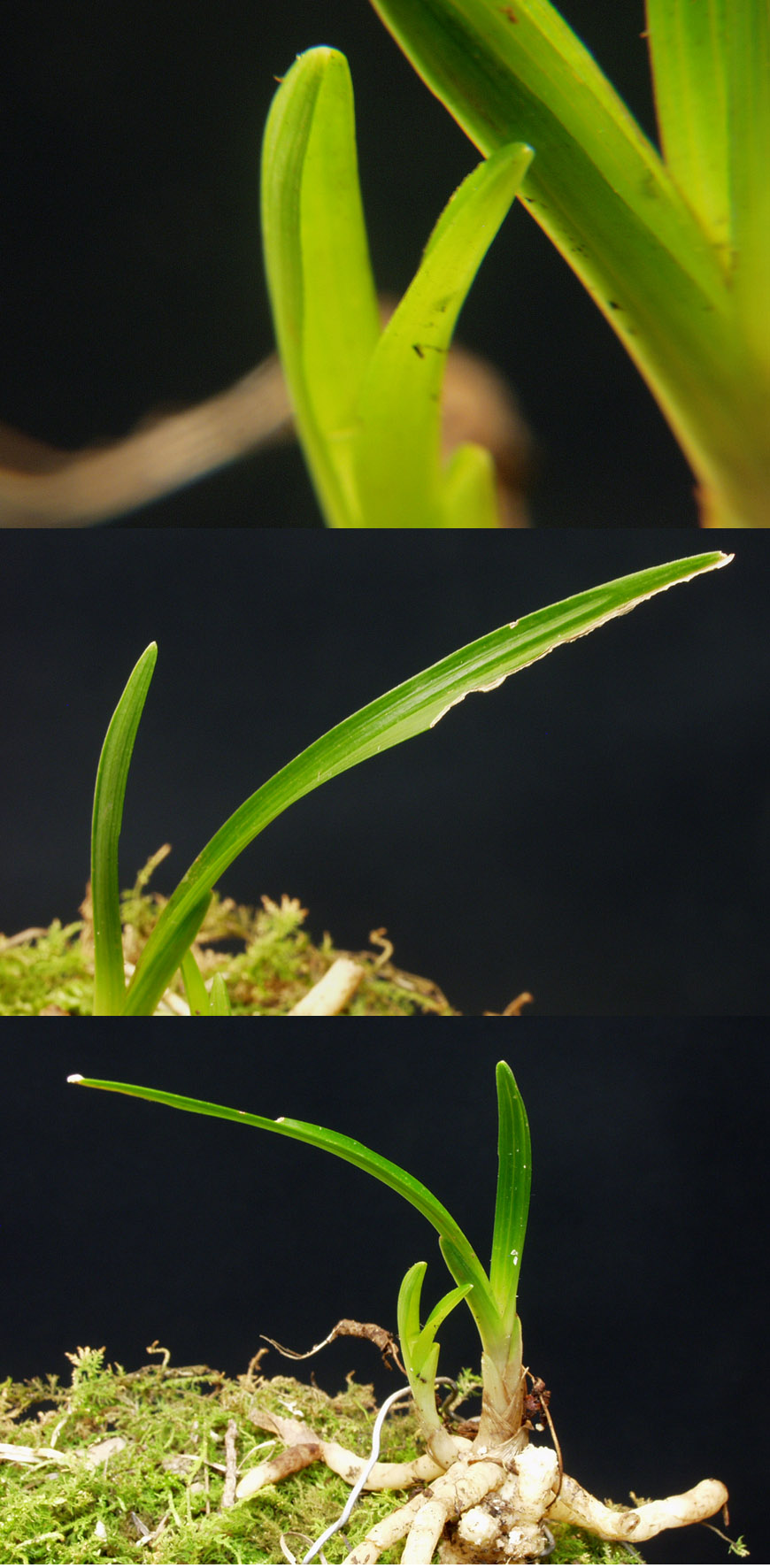 ������ ū������ �� �� �ֽ��ϴ�.