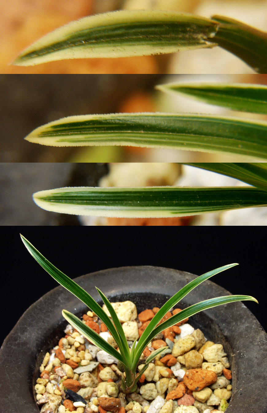 ������ ū������ �� �� �ֽ��ϴ�.