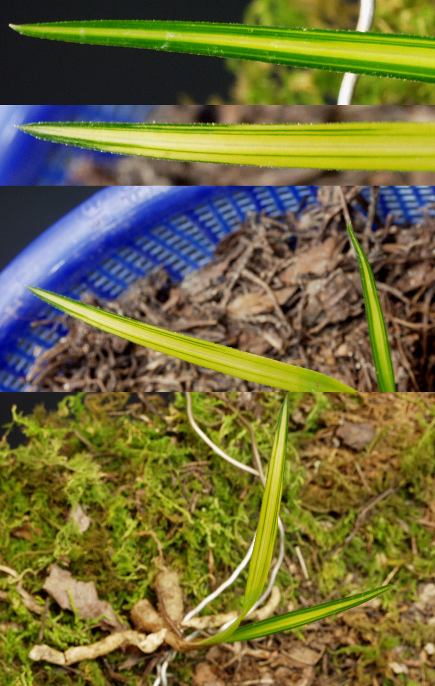 ������ ū������ �� �� �ֽ��ϴ�.