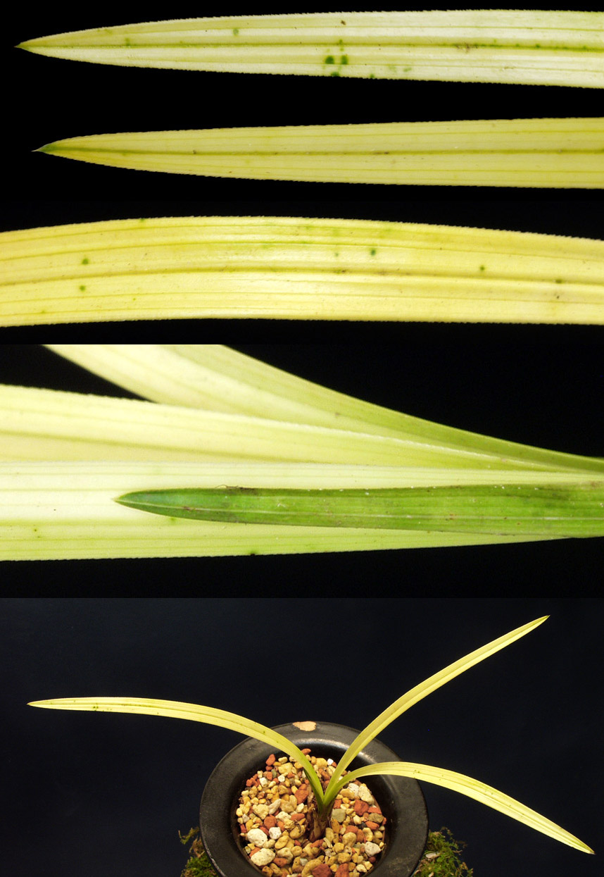 ������ ū������ �� �� �ֽ��ϴ�.