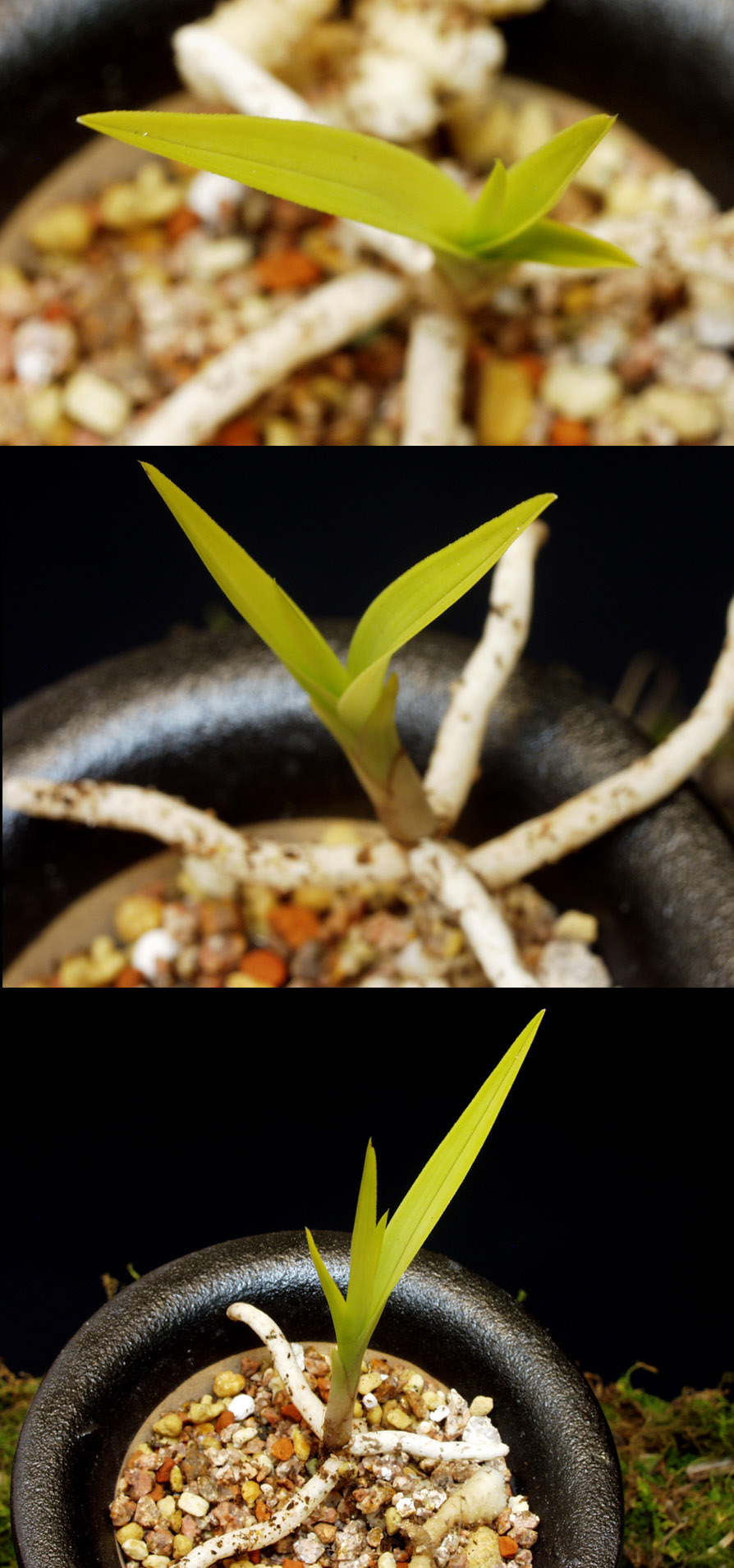 ������ ū������ �� �� �ֽ��ϴ�.