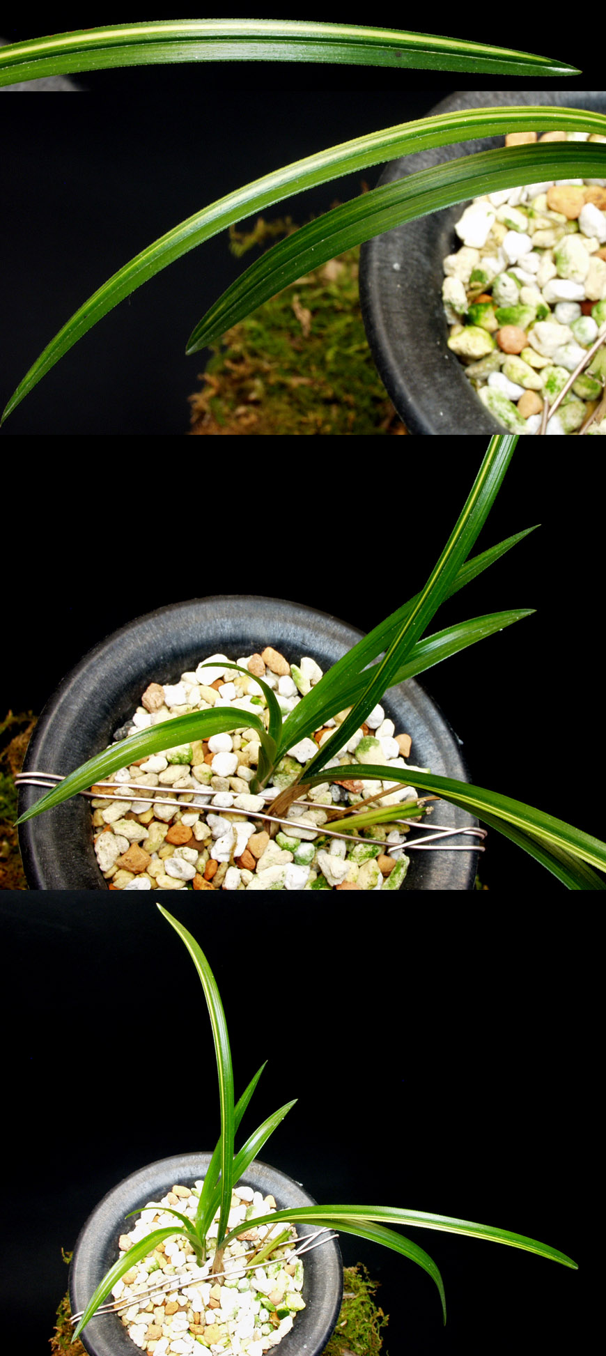 ������ ū������ �� �� �ֽ��ϴ�.