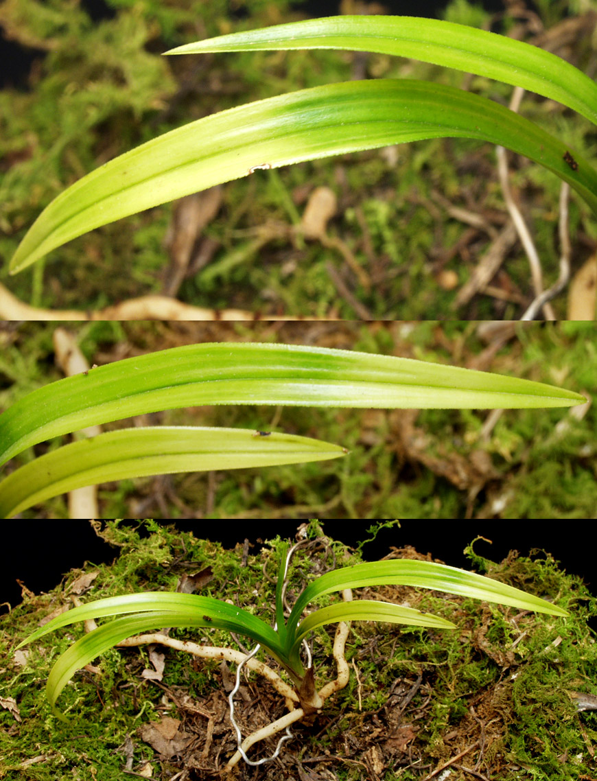 ������ ū������ �� �� �ֽ��ϴ�.