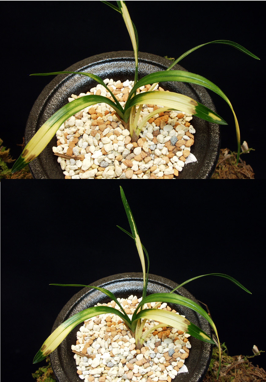 ������ ū������ �� �� �ֽ��ϴ�.