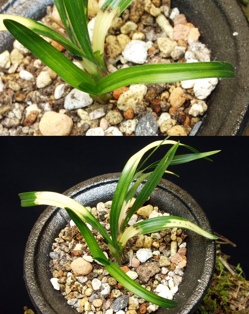 ������ ū������ �� �� �ֽ��ϴ�.