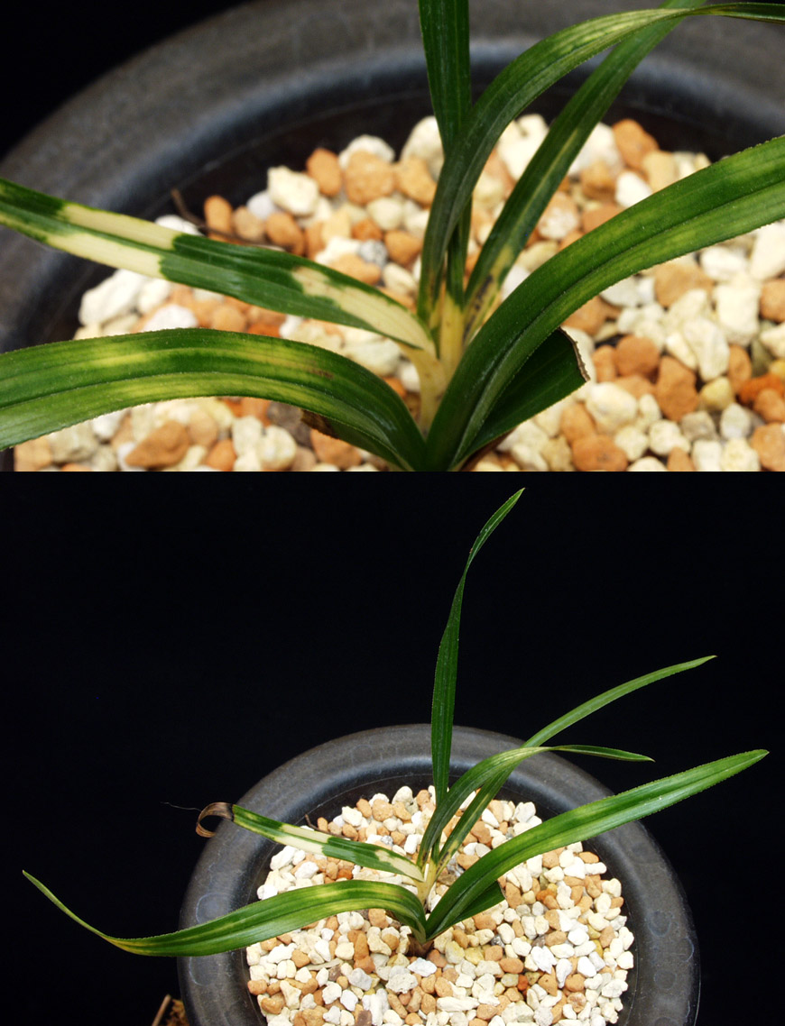 ������ ū������ �� �� �ֽ��ϴ�.