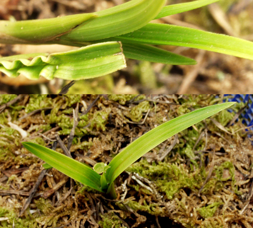 ������ ū������ �� �� �ֽ��ϴ�.