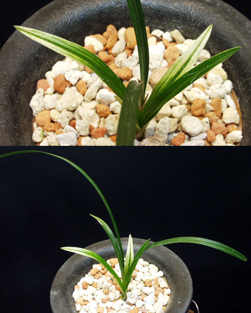 ������ ū������ �� �� �ֽ��ϴ�.