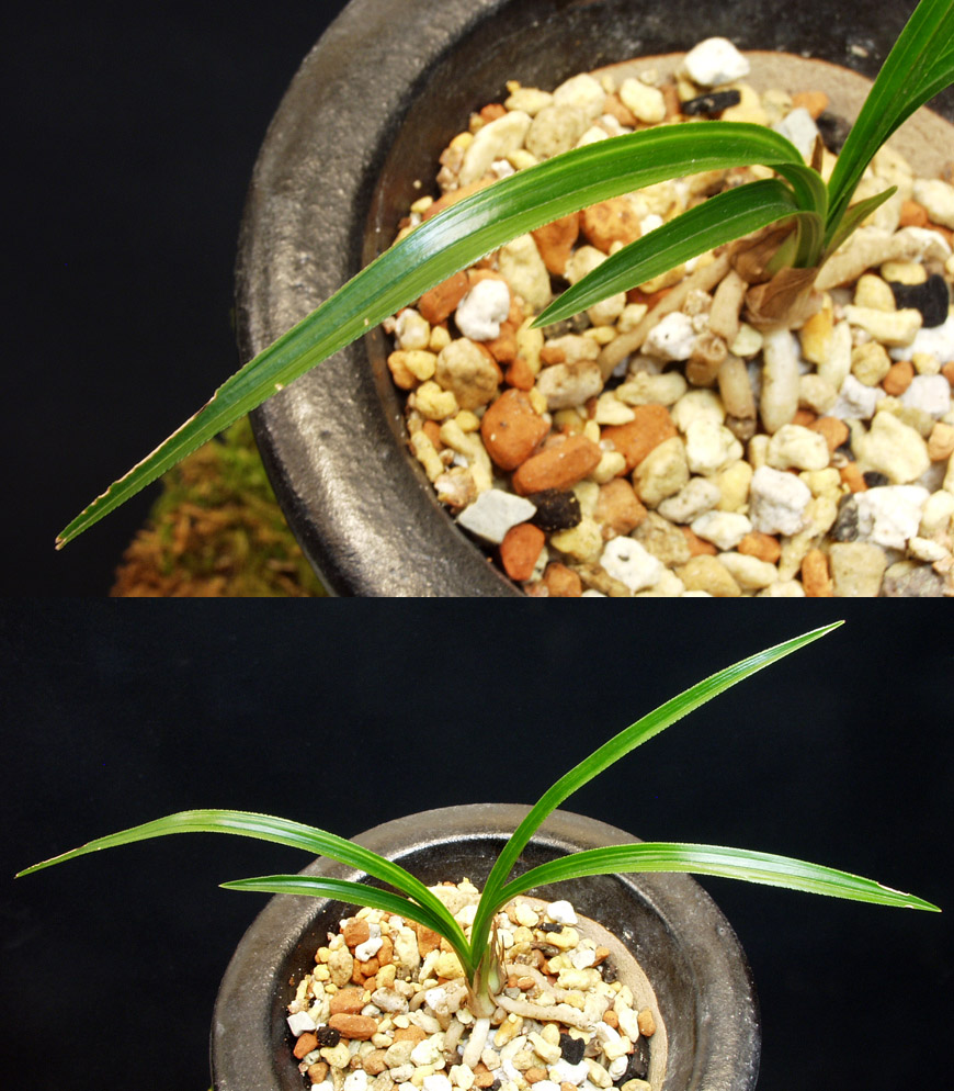 ������ ū������ �� �� �ֽ��ϴ�.