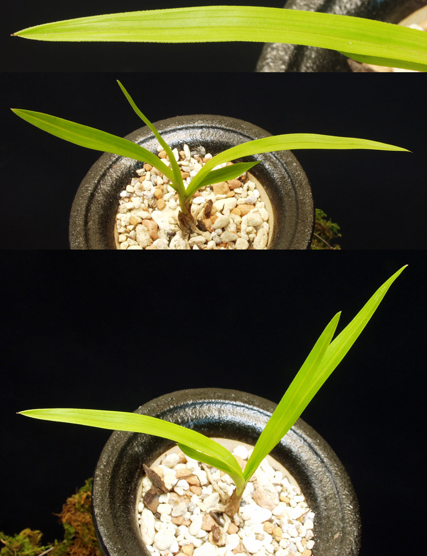 ������ ū������ �� �� �ֽ��ϴ�.