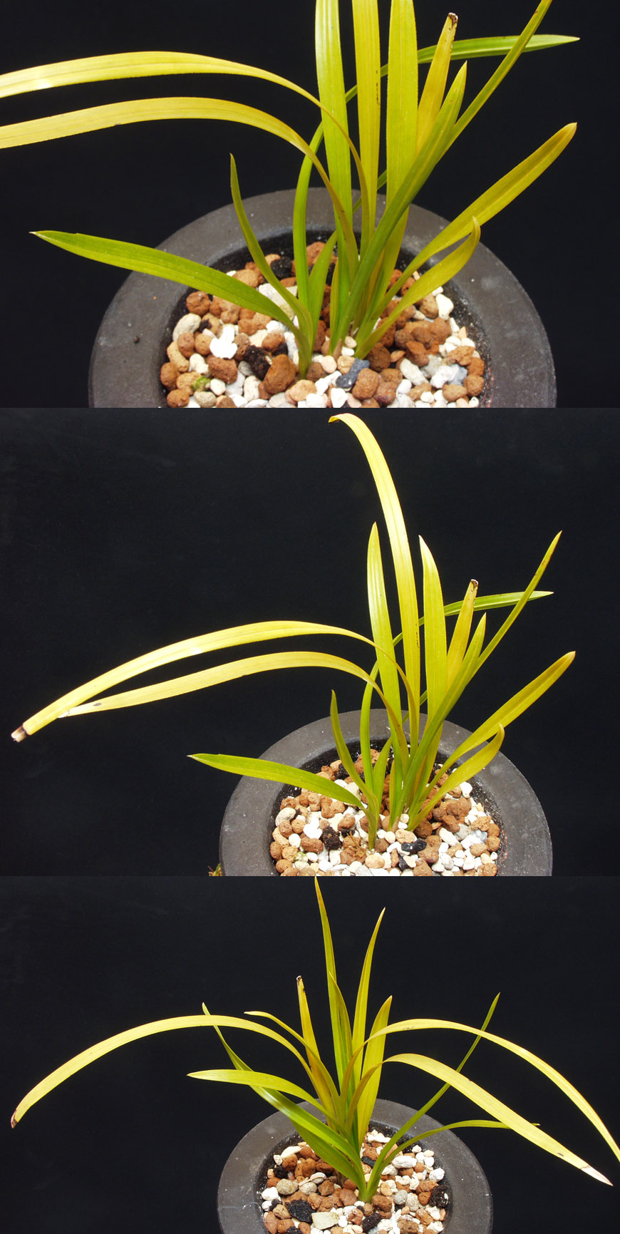 ������ ū������ �� �� �ֽ��ϴ�.