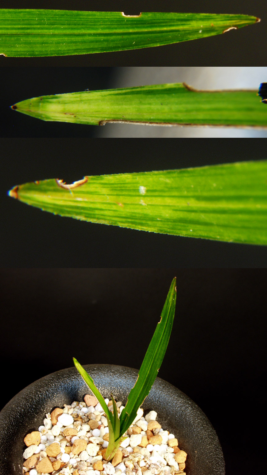 ������ ū������ �� �� �ֽ��ϴ�.