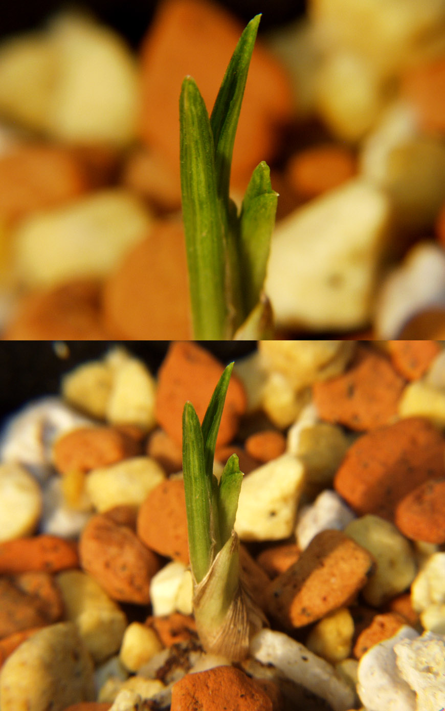 ������ ū������ �� �� �ֽ��ϴ�.