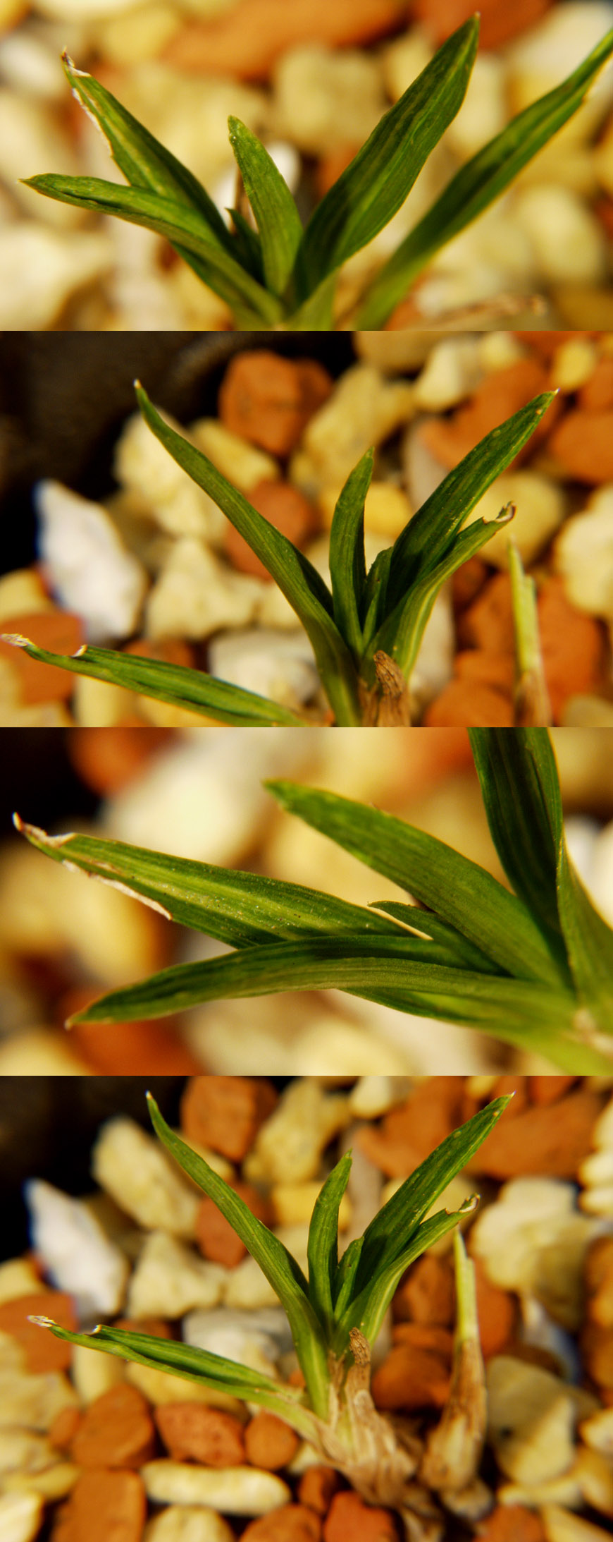 ������ ū������ �� �� �ֽ��ϴ�.