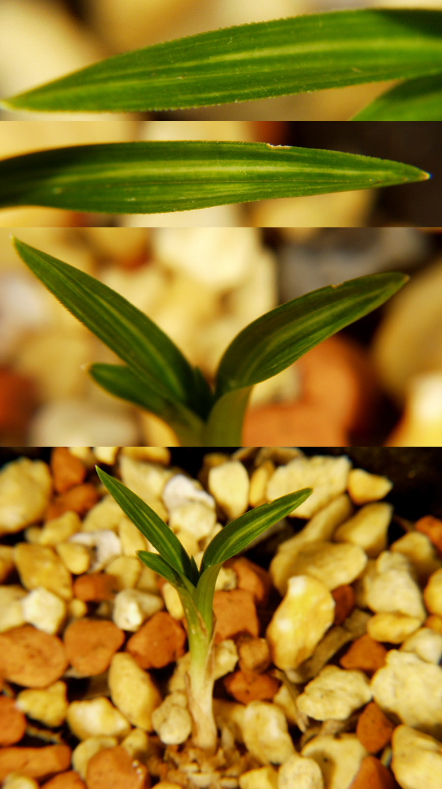 ������ ū������ �� �� �ֽ��ϴ�.