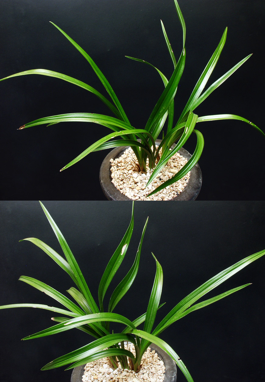 ������ ū������ �� �� �ֽ��ϴ�.