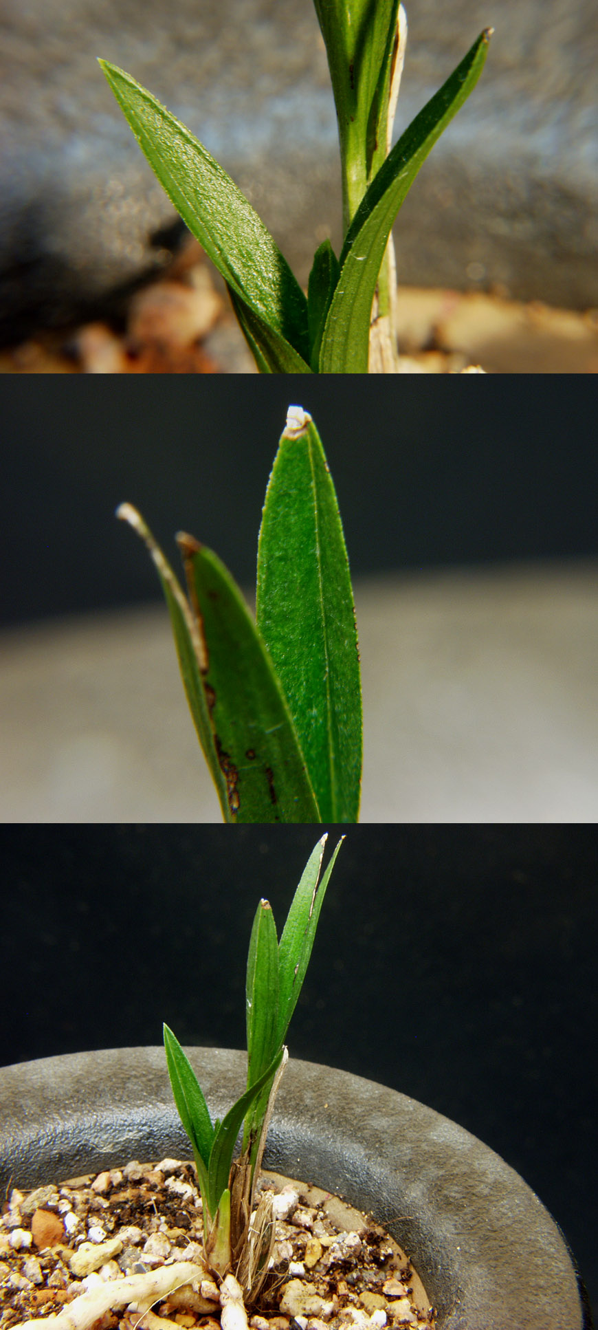 ������ ū������ �� �� �ֽ��ϴ�.