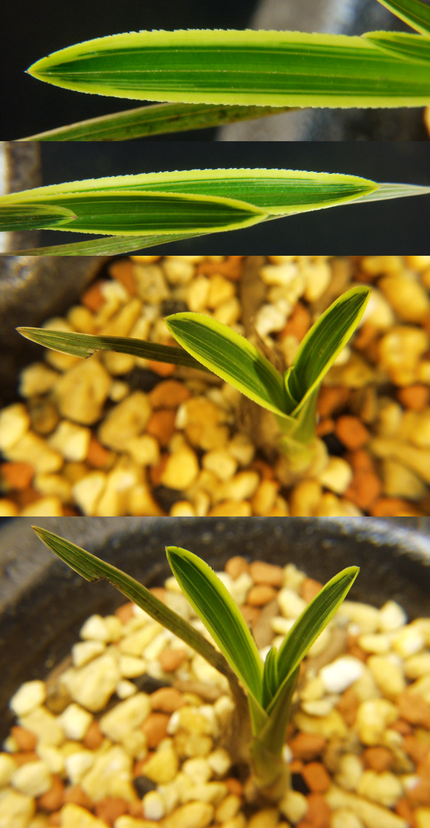 ������ ū������ �� �� �ֽ��ϴ�.