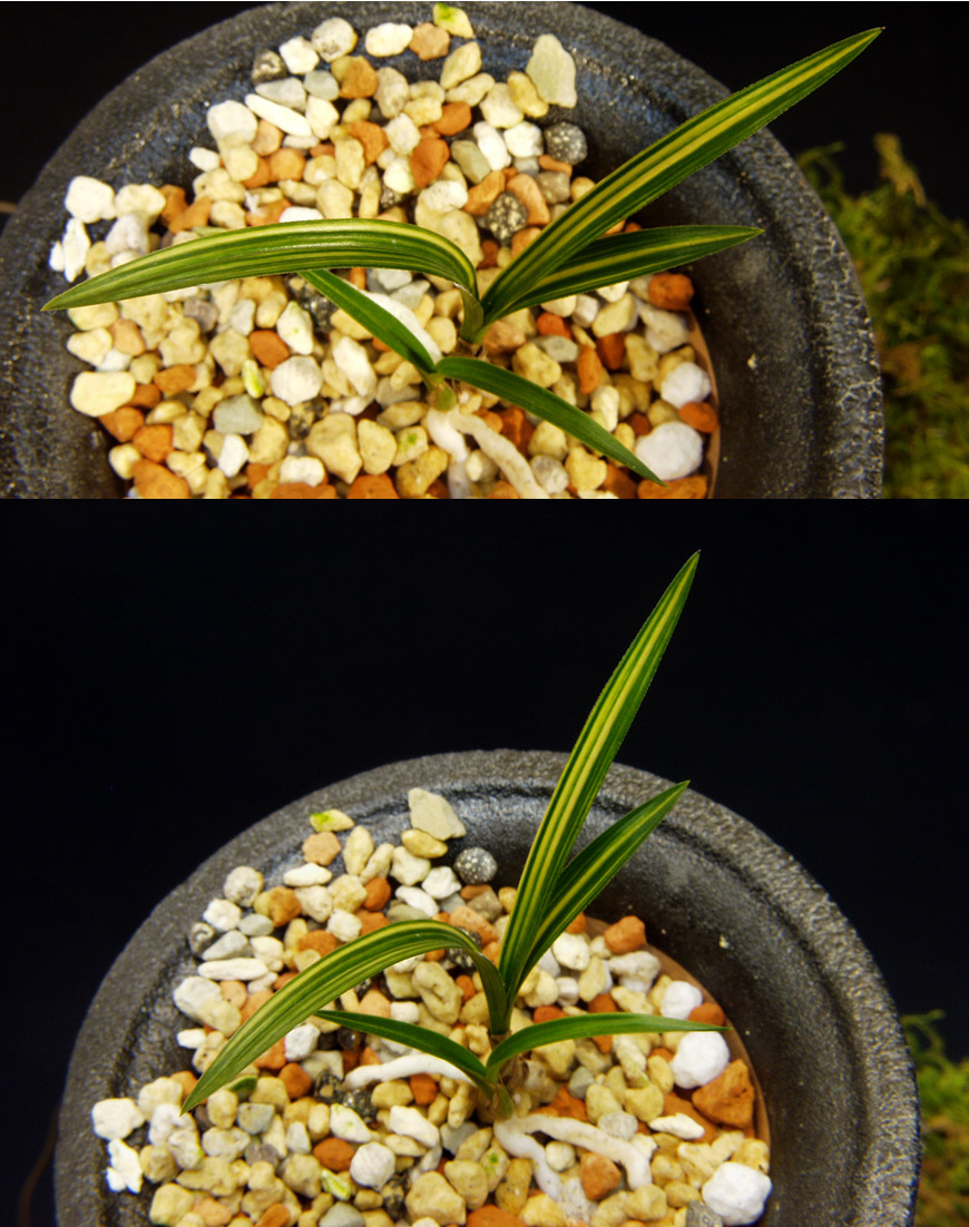 ������ ū������ �� �� �ֽ��ϴ�.