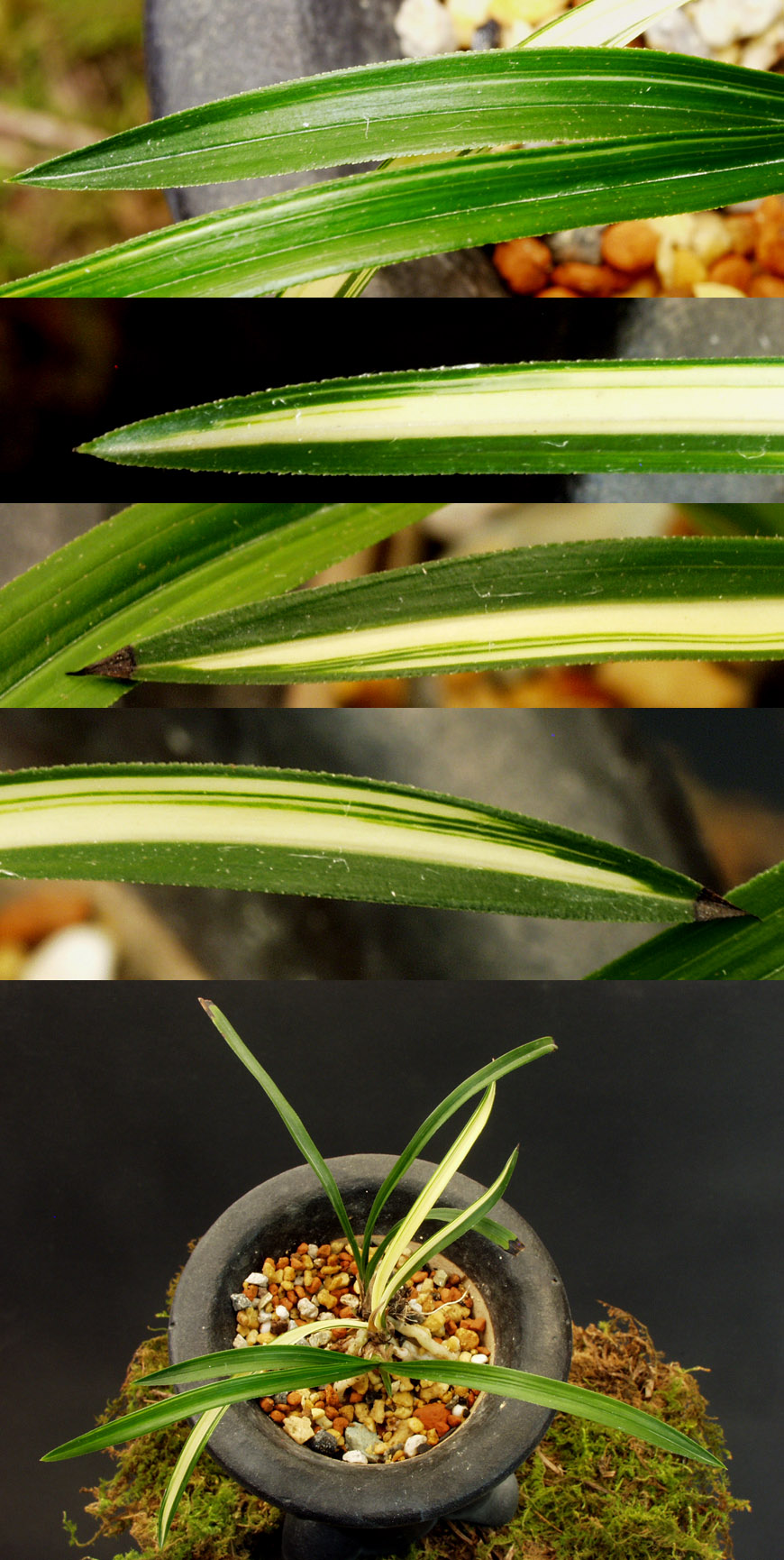 ������ ū������ �� �� �ֽ��ϴ�.