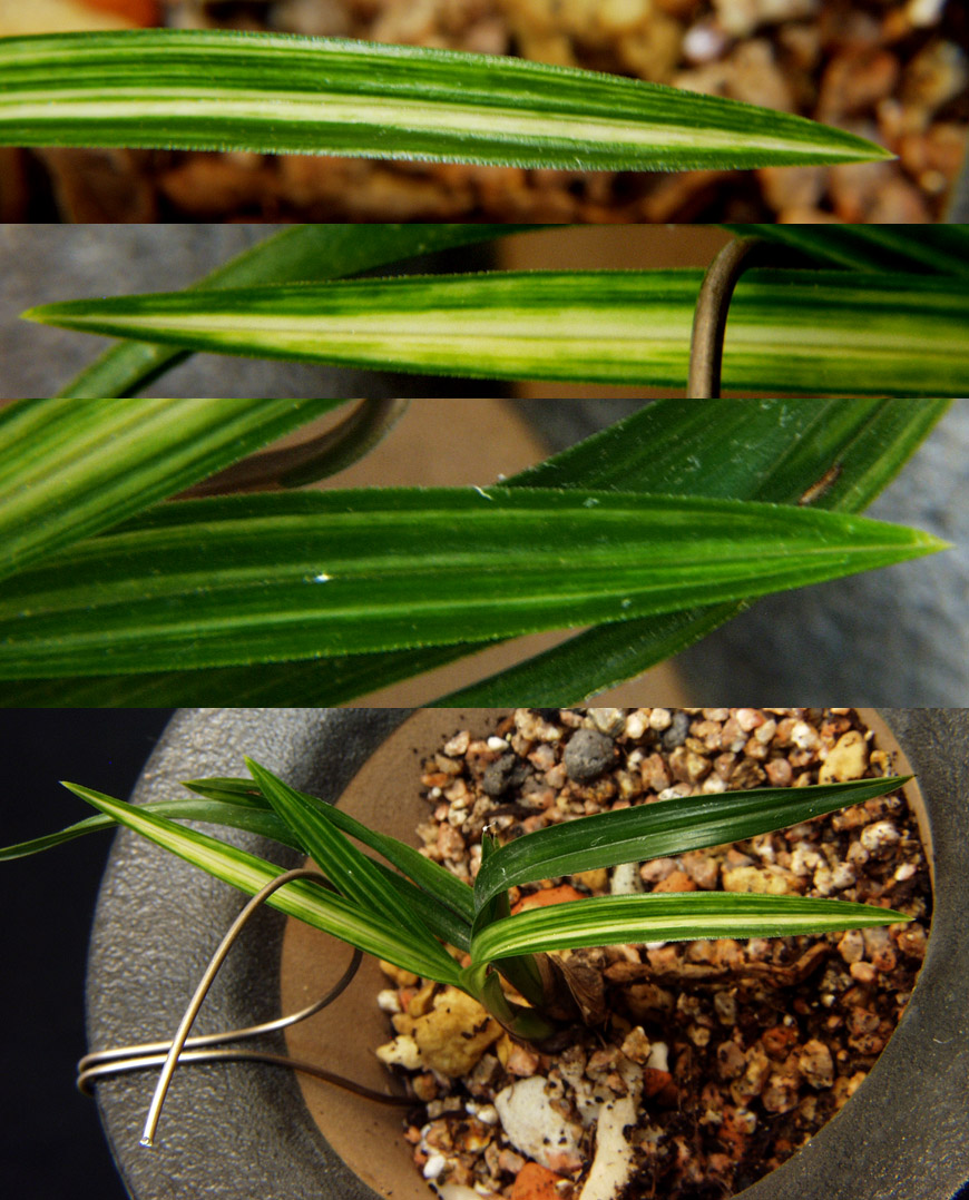 ������ ū������ �� �� �ֽ��ϴ�.