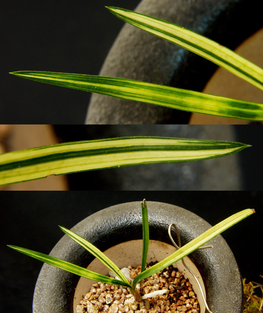 ������ ū������ �� �� �ֽ��ϴ�.