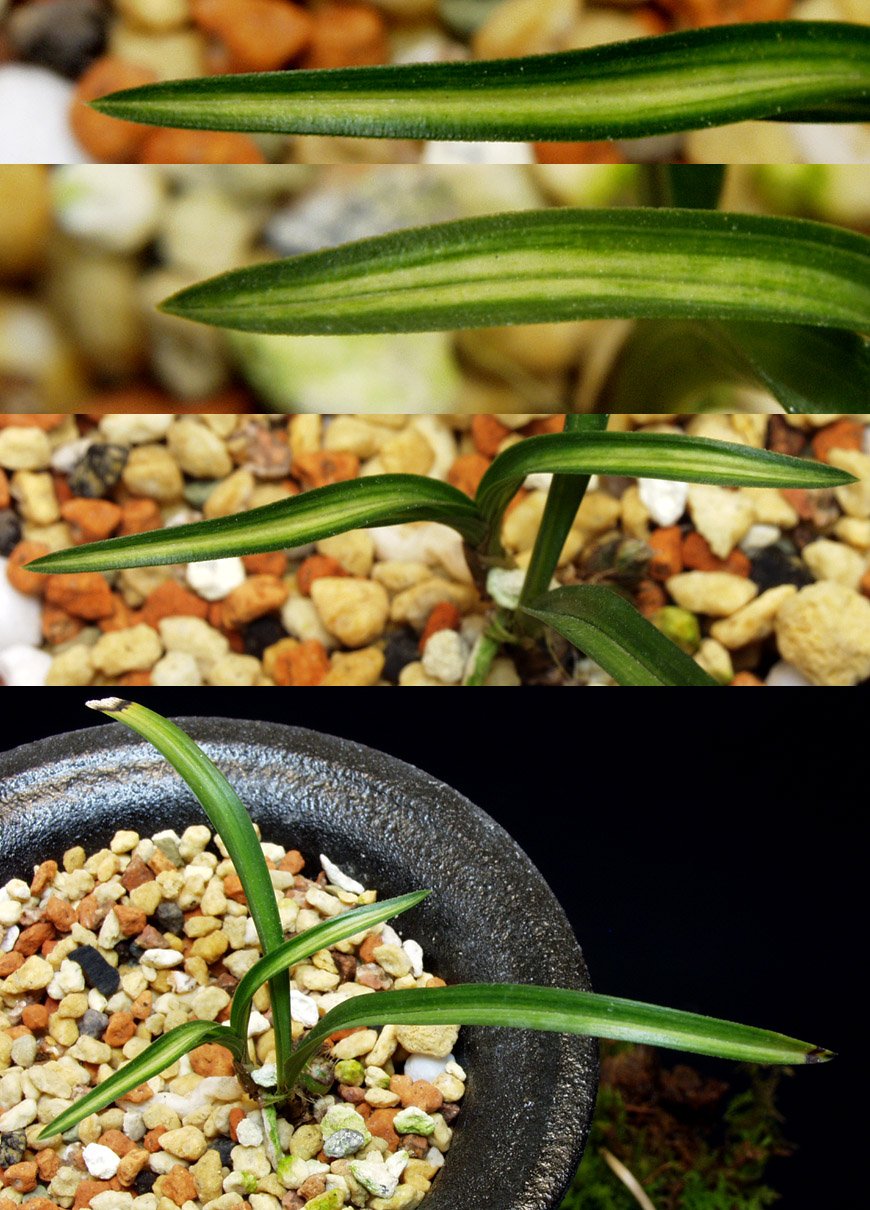 ������ ū������ �� �� �ֽ��ϴ�.