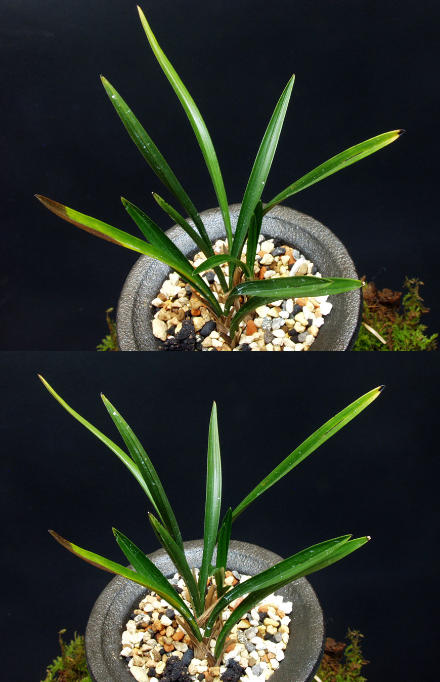 ������ ū������ �� �� �ֽ��ϴ�.