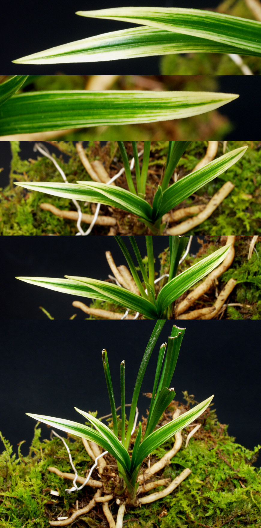 ������ ū������ �� �� �ֽ��ϴ�.