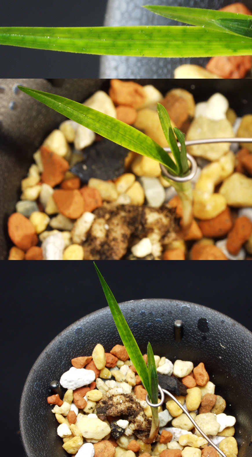 ������ ū������ �� �� �ֽ��ϴ�.