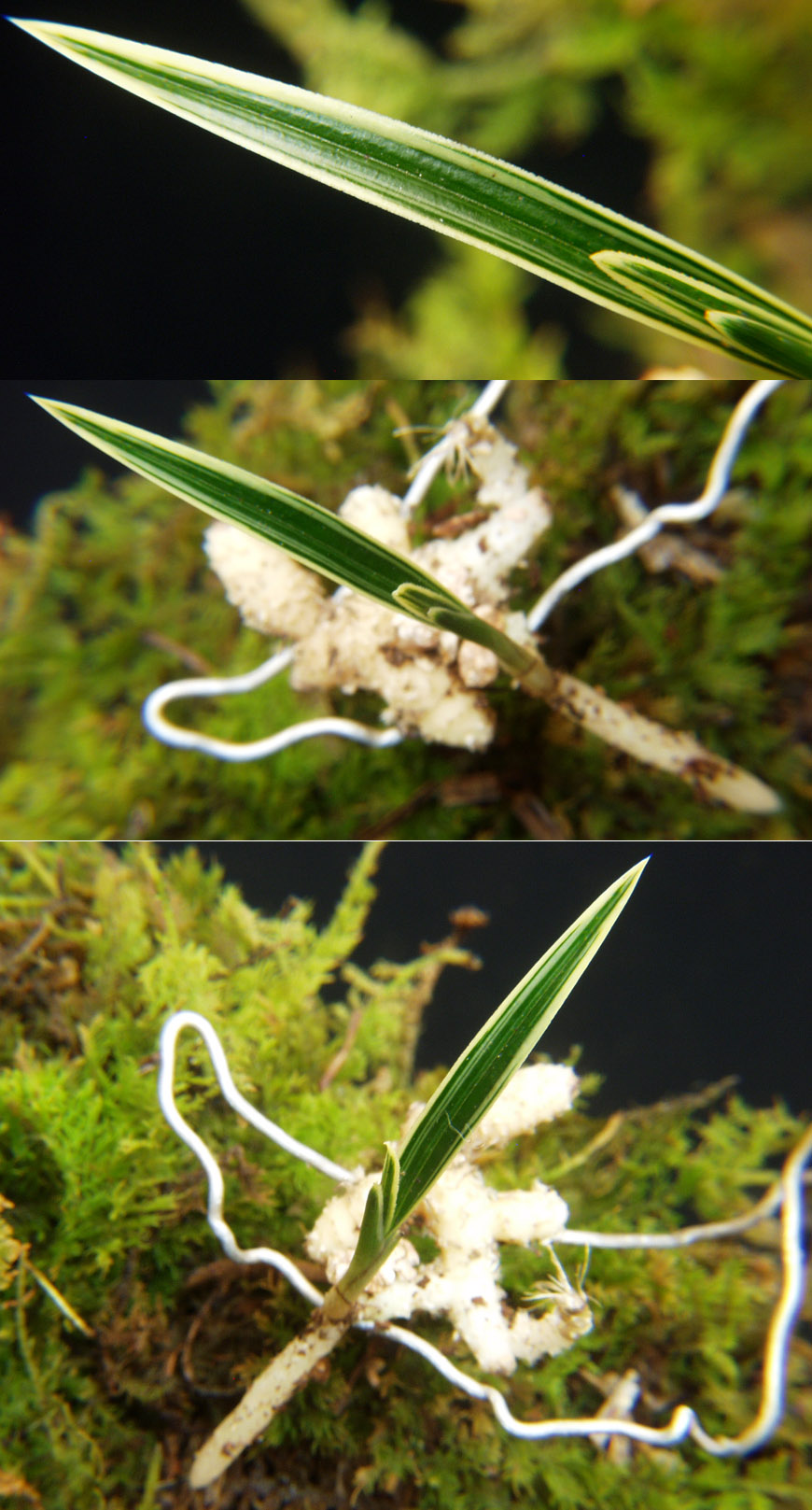 ������ ū������ �� �� �ֽ��ϴ�.