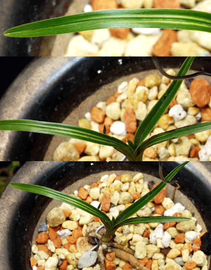 ������ ū������ �� �� �ֽ��ϴ�.