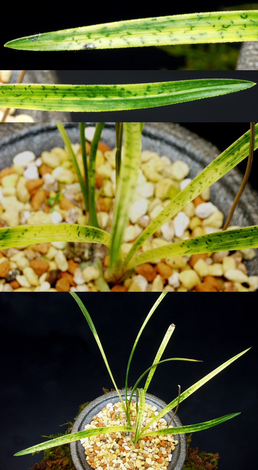 ������ ū������ �� �� �ֽ��ϴ�.