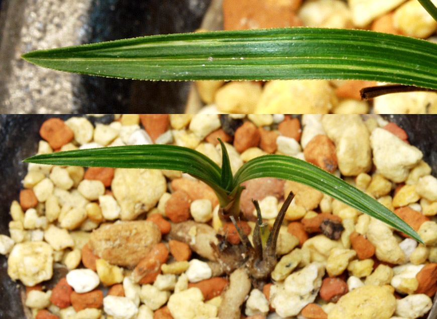 ������ ū������ �� �� �ֽ��ϴ�.