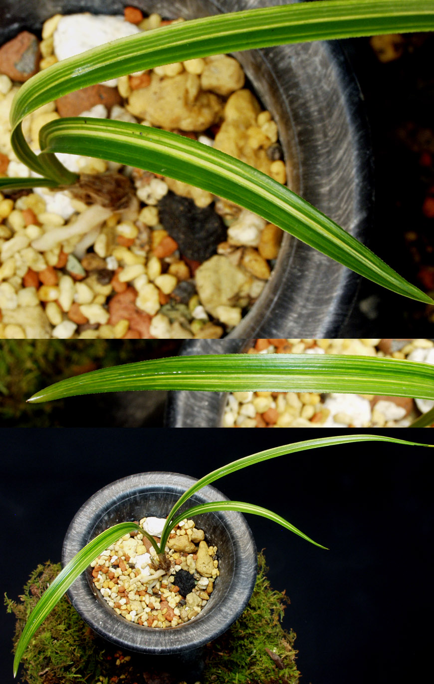 ������ ū������ �� �� �ֽ��ϴ�.