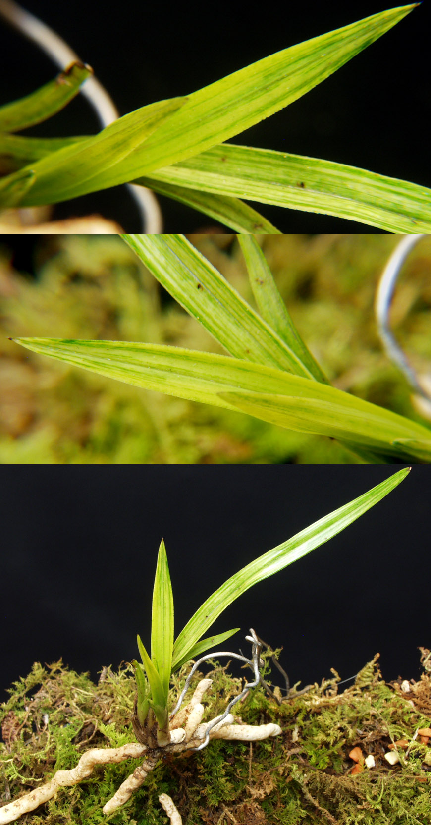 ������ ū������ �� �� �ֽ��ϴ�.