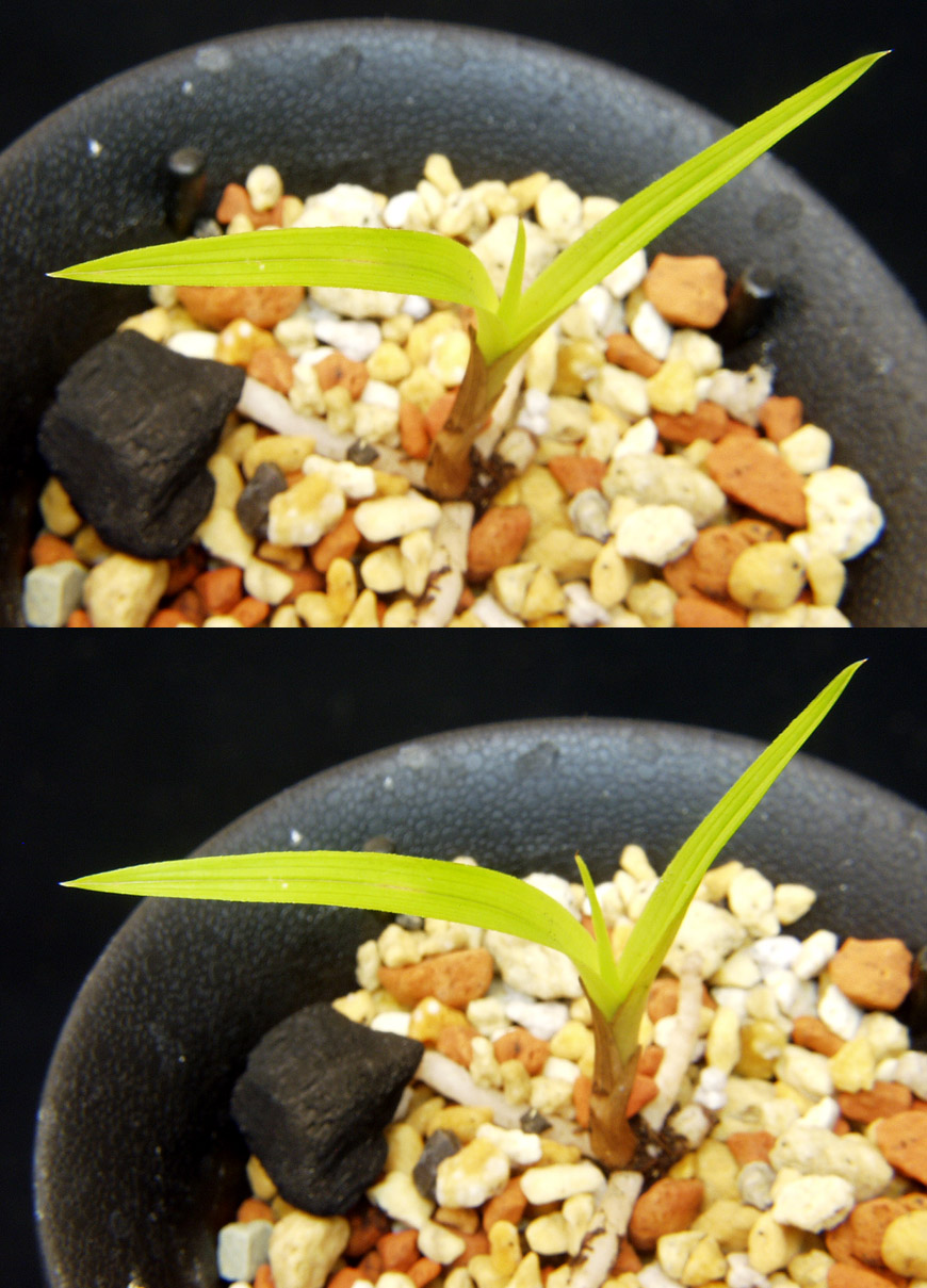 ������ ū������ �� �� �ֽ��ϴ�.