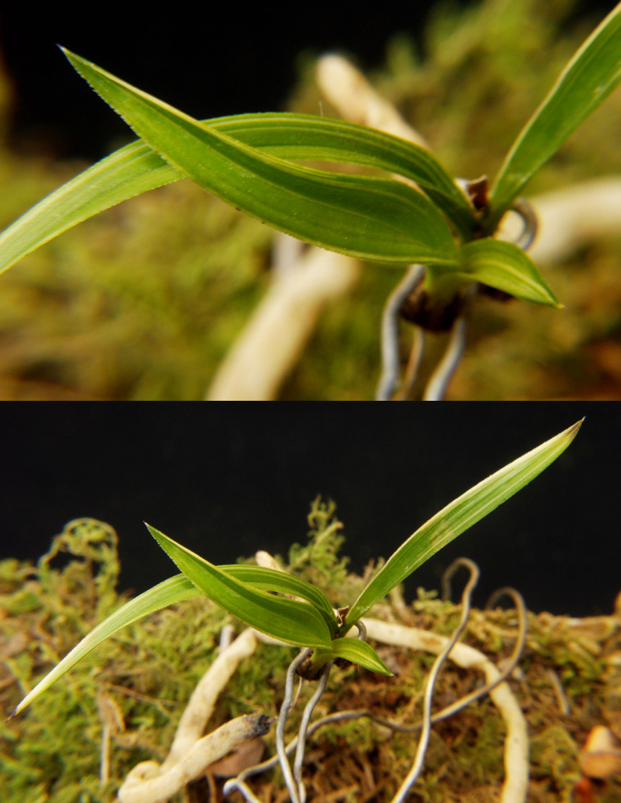 ������ ū������ �� �� �ֽ��ϴ�.