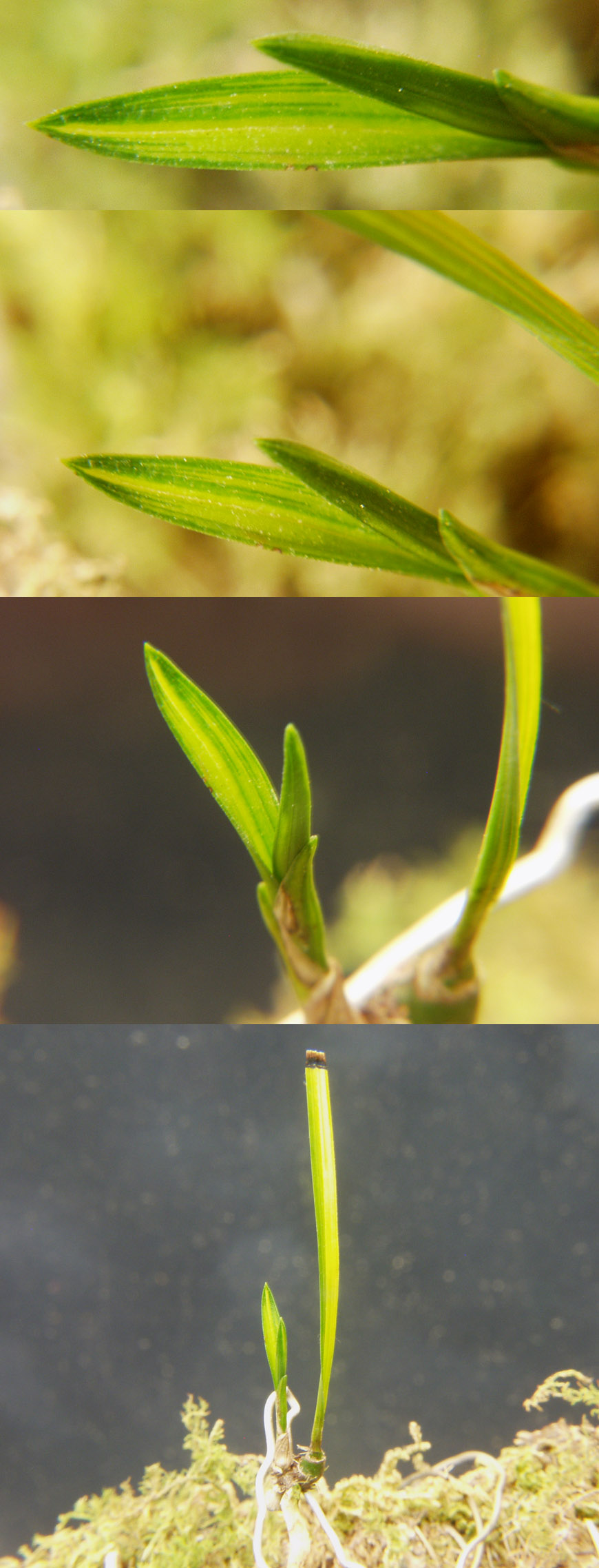 ������ ū������ �� �� �ֽ��ϴ�.