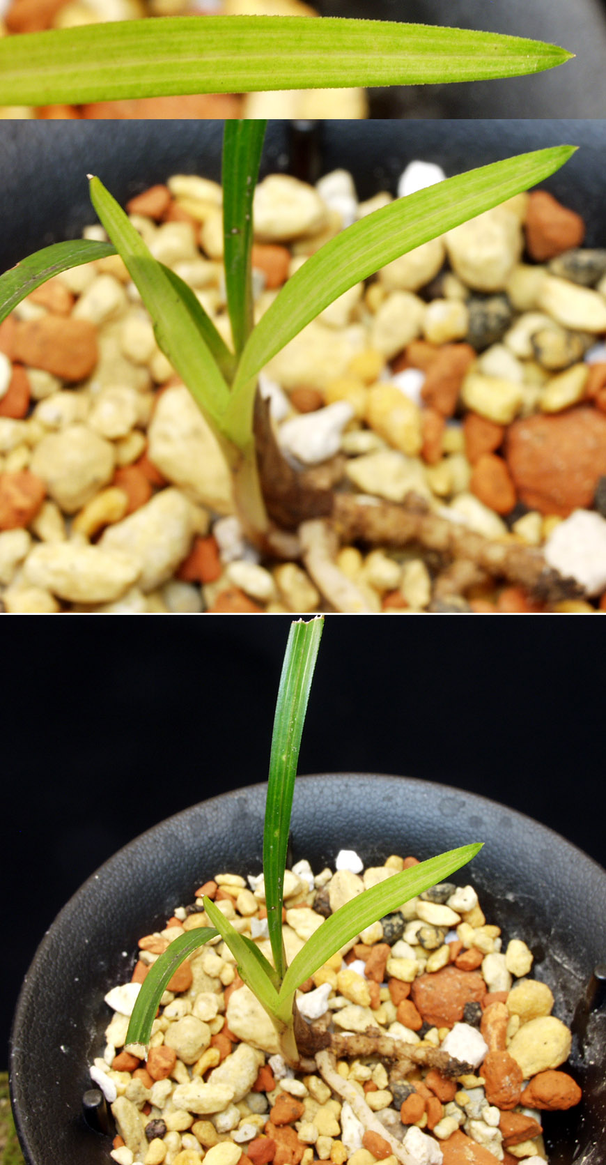 ������ ū������ �� �� �ֽ��ϴ�.