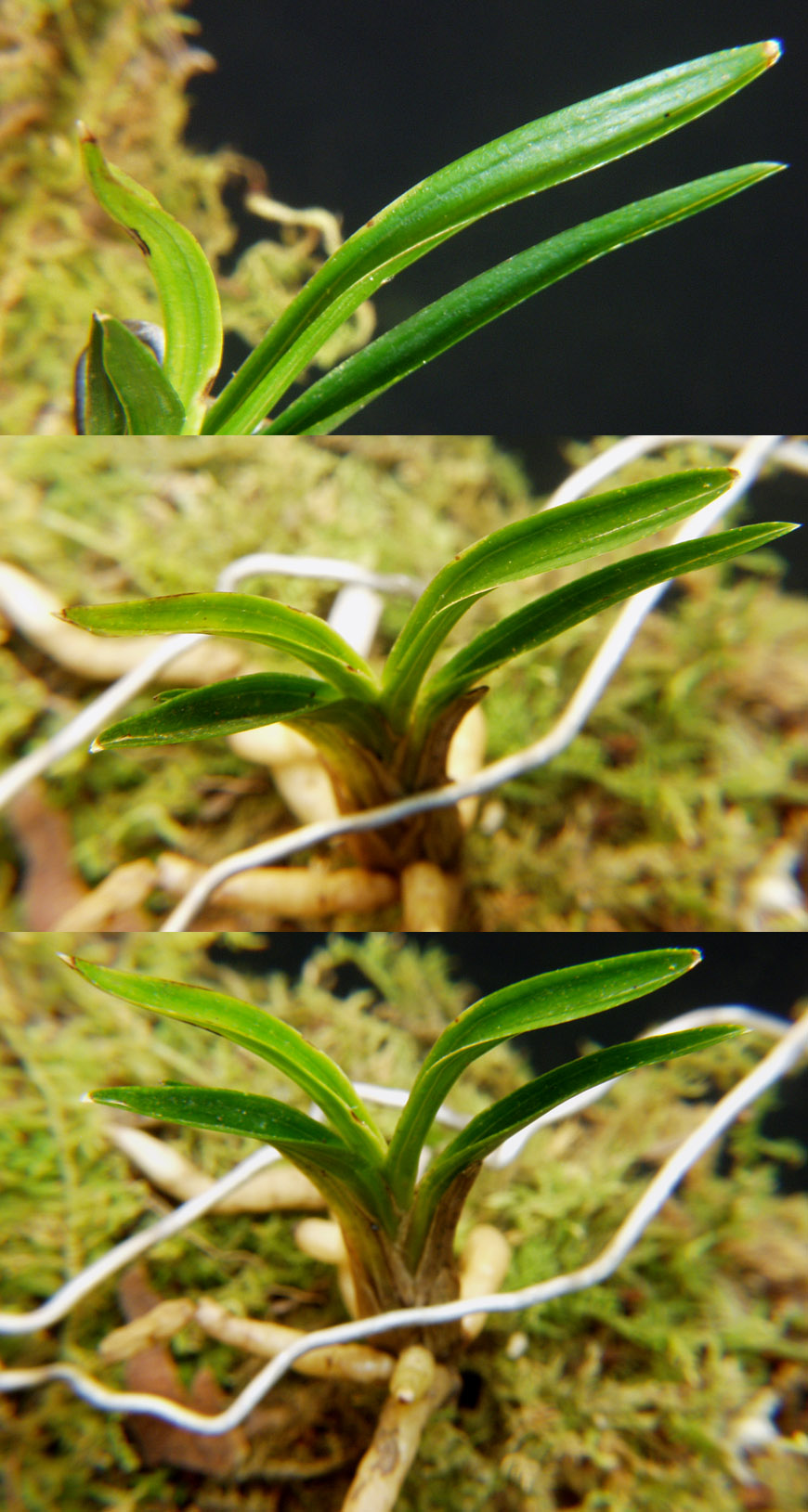 ������ ū������ �� �� �ֽ��ϴ�.