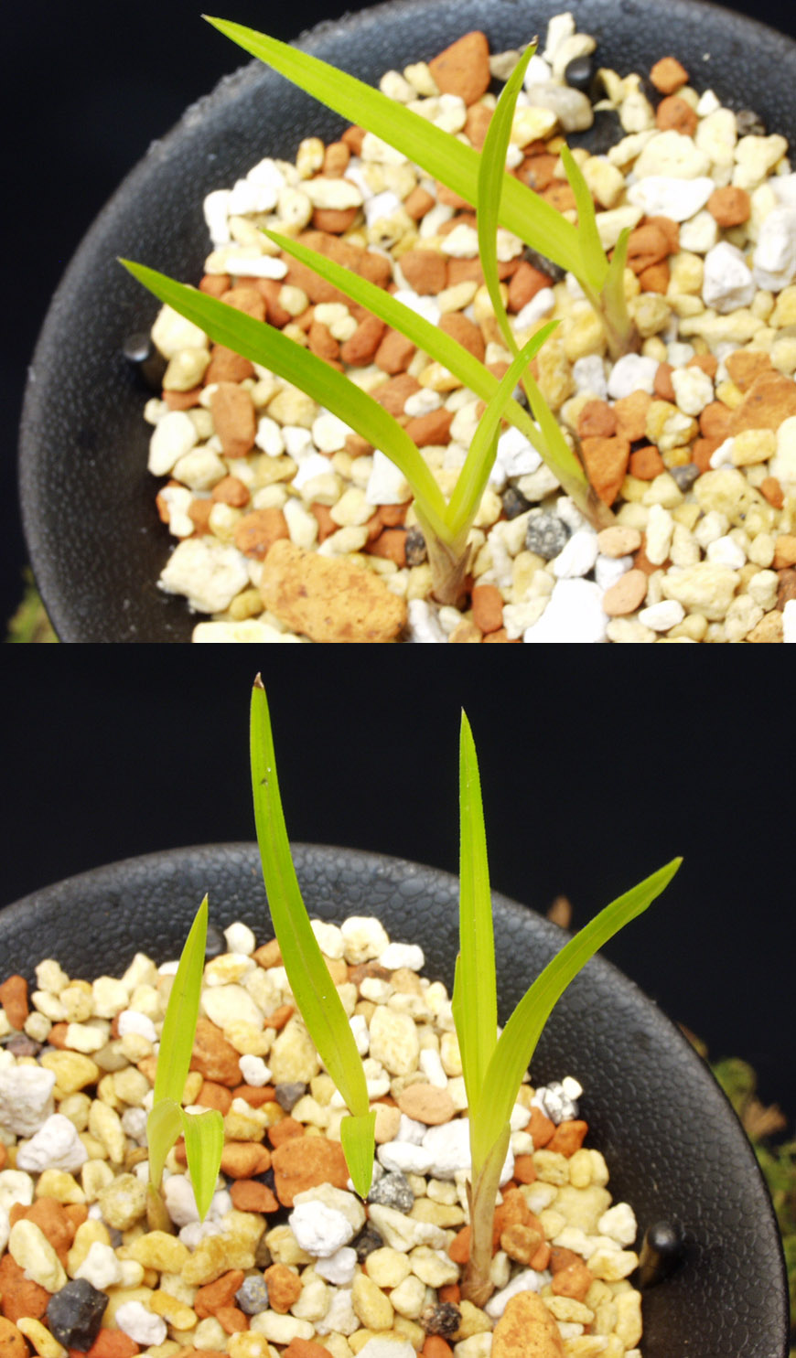 ������ ū������ �� �� �ֽ��ϴ�.