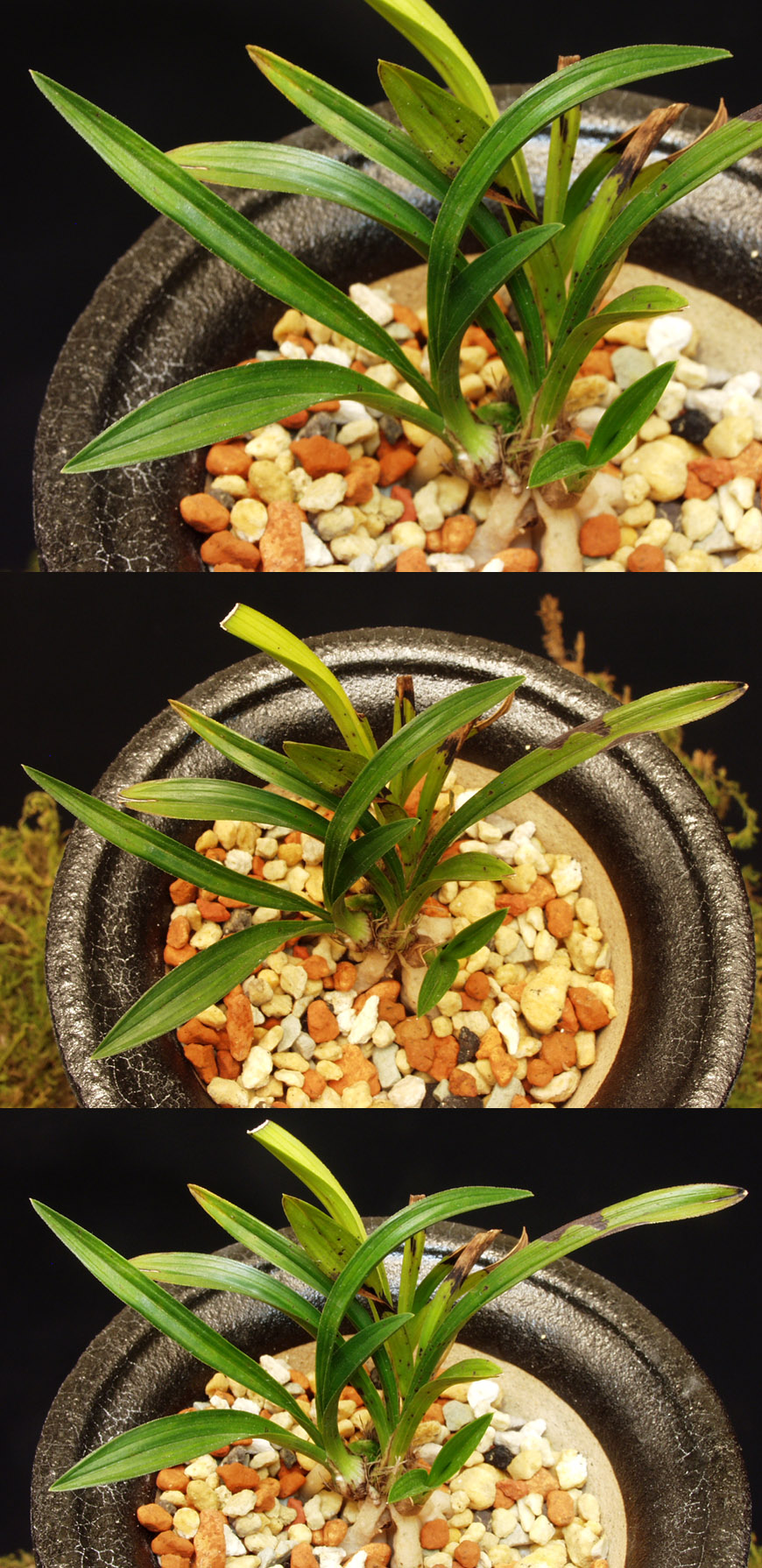 ������ ū������ �� �� �ֽ��ϴ�.