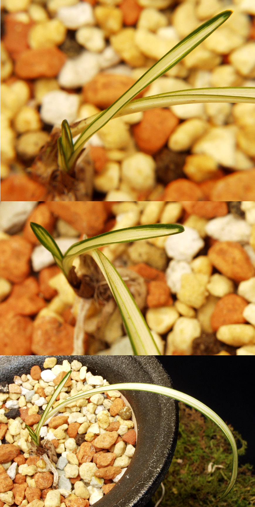 ������ ū������ �� �� �ֽ��ϴ�.