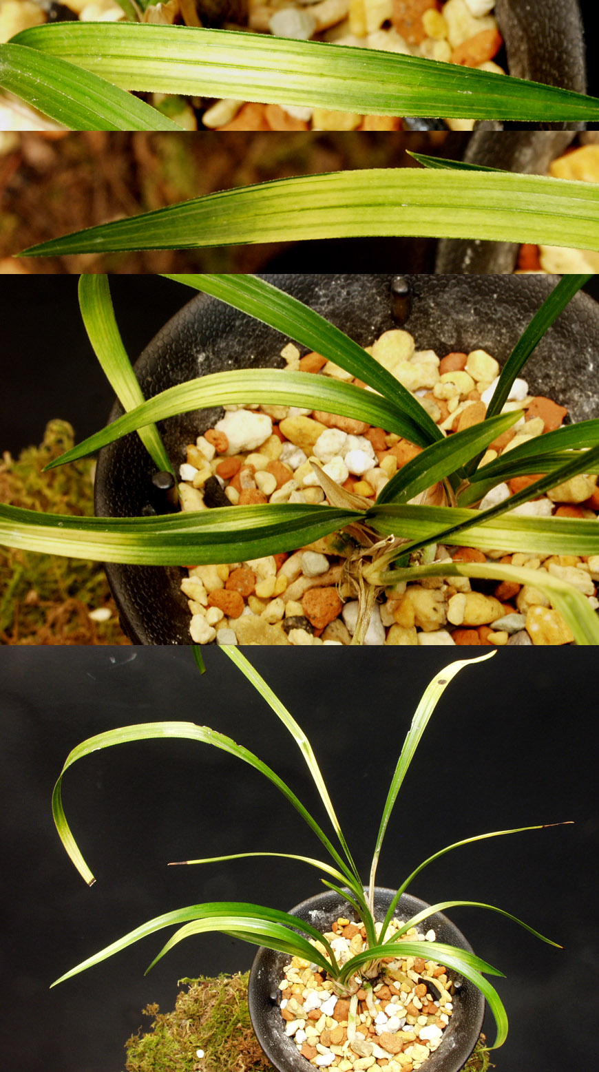 ������ ū������ �� �� �ֽ��ϴ�.