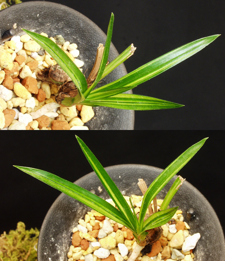 ������ ū������ �� �� �ֽ��ϴ�.