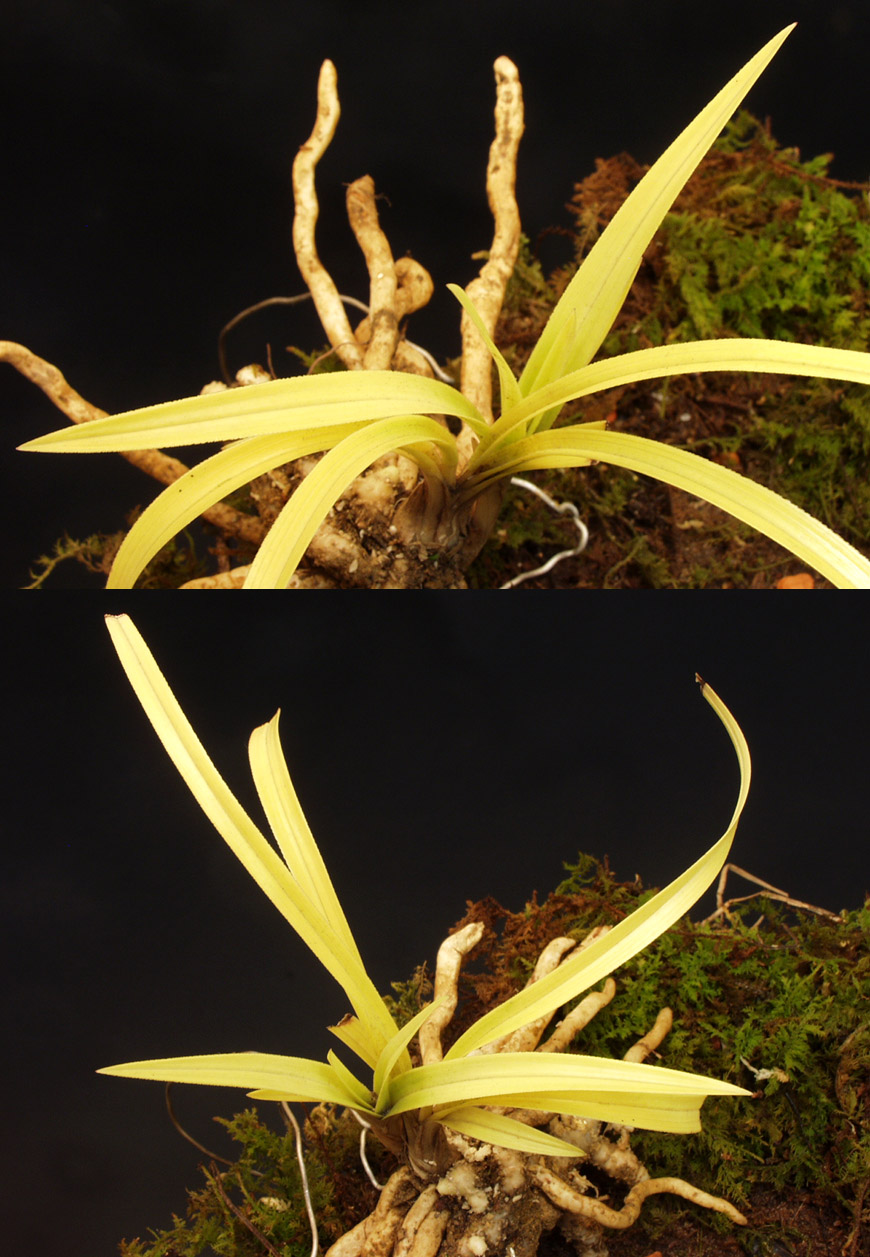 ������ ū������ �� �� �ֽ��ϴ�.