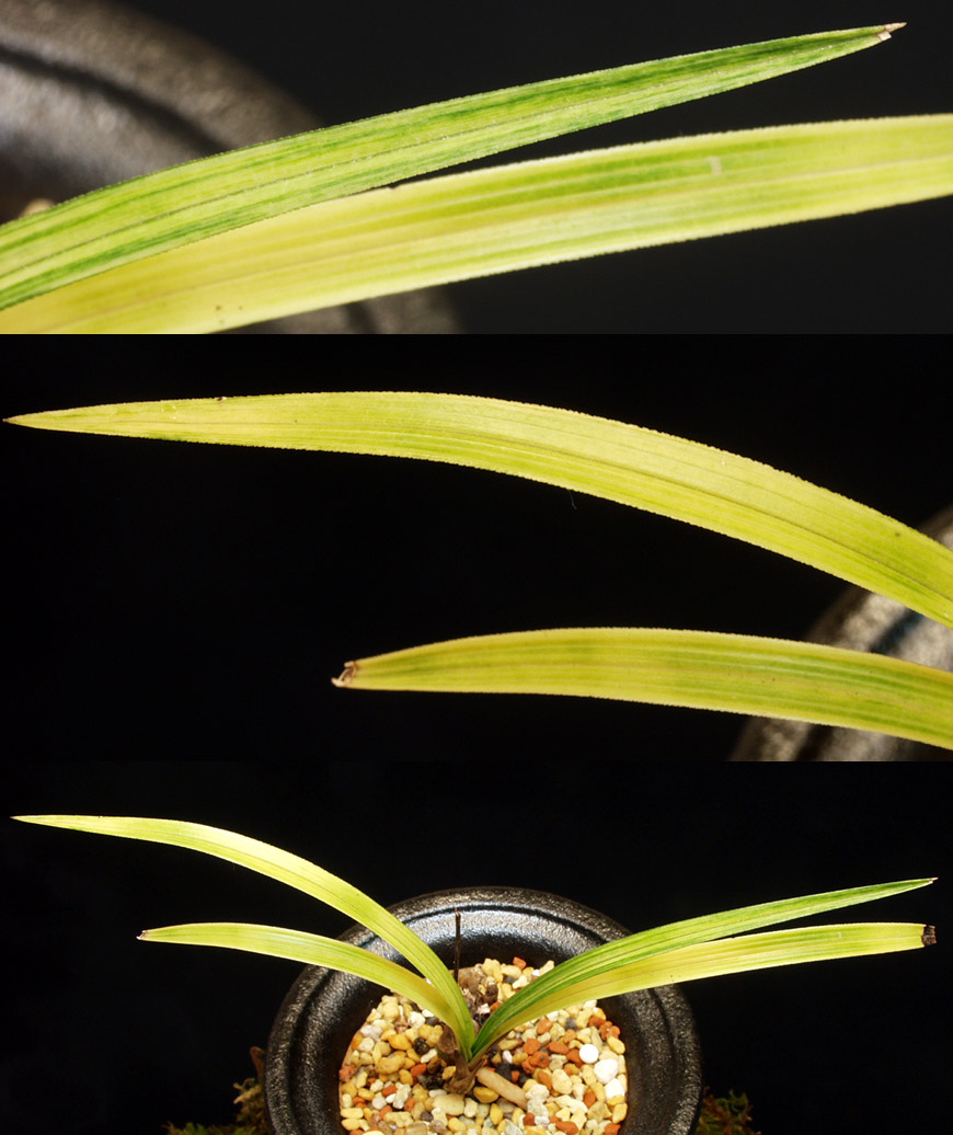 ������ ū������ �� �� �ֽ��ϴ�.